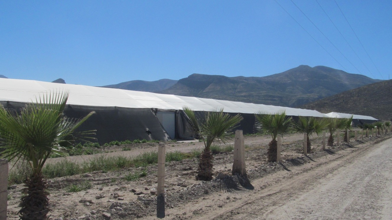 Proyecto